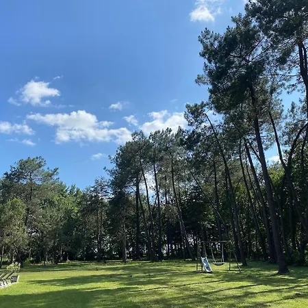 Domaine De La Lande En Pays Basque Came