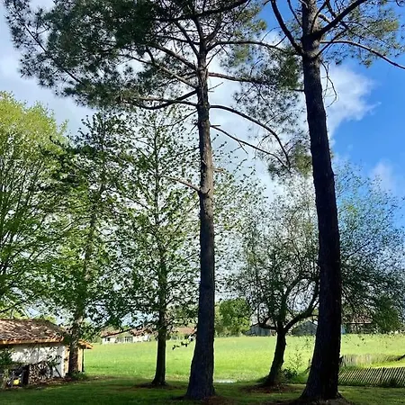 Domaine De La Lande En Pays Basque Apartment