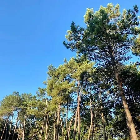 La Lande En Pays Basque Apartmán