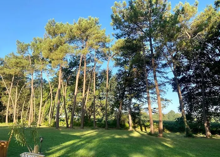 La Lande En Pays Basque 아파트 Came