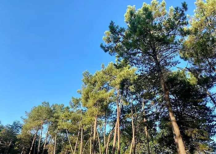 La Lande En Pays Basque 아파트